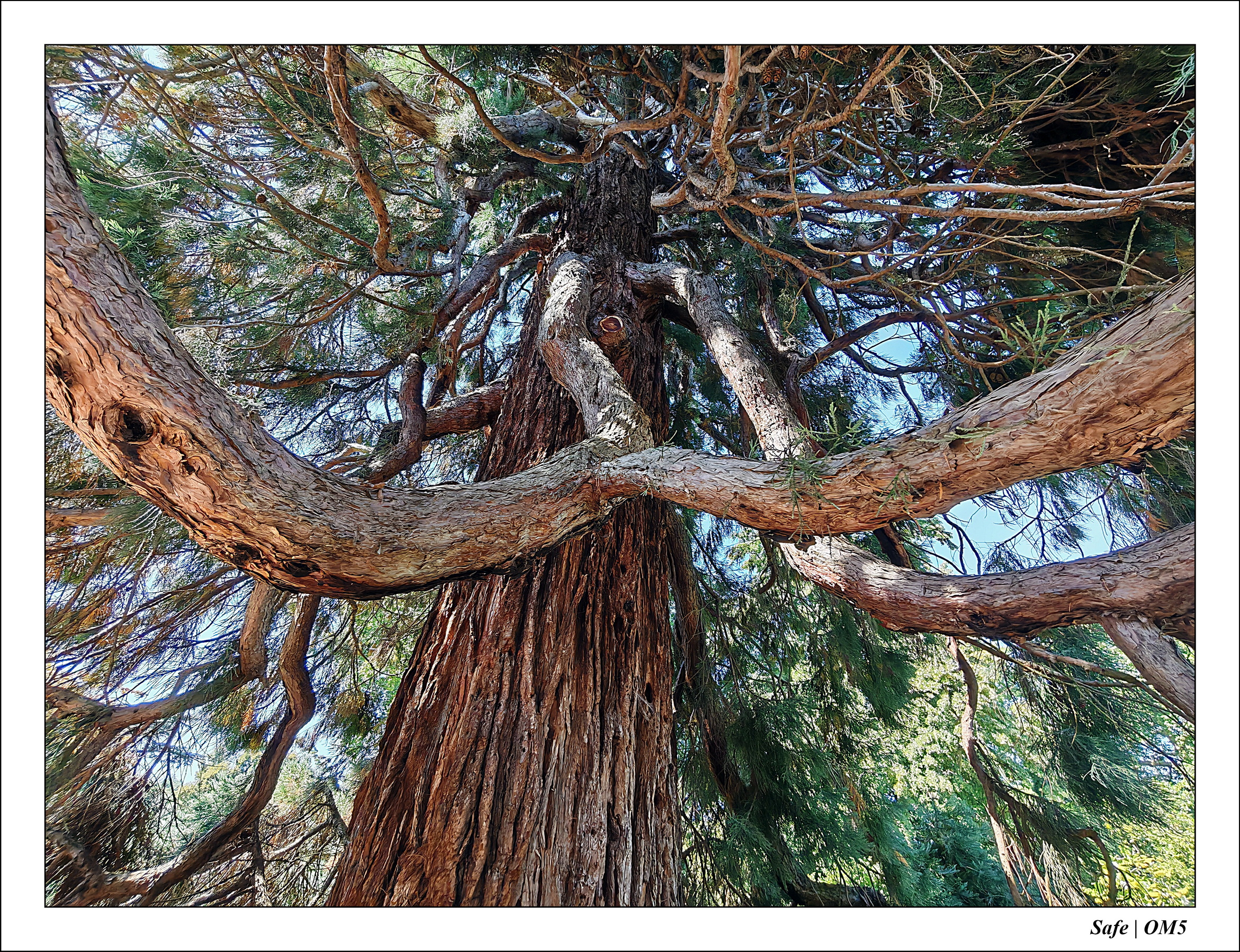 2025 - 08 - Vallée des loups - 22